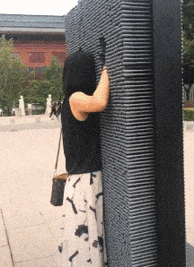 马虾怎么养殖 马虾养殖视频教学