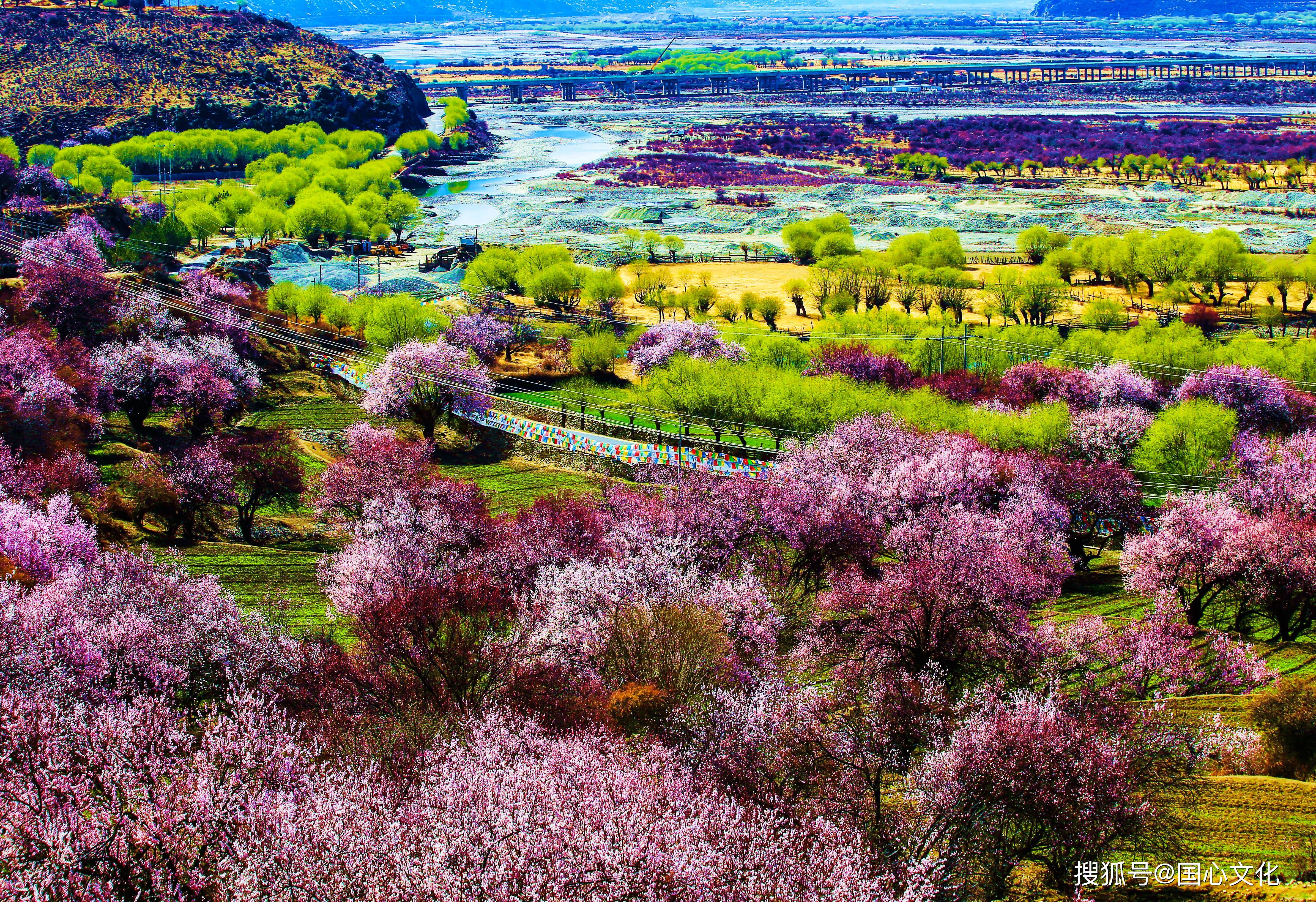 林芝最佳旅游季节图片