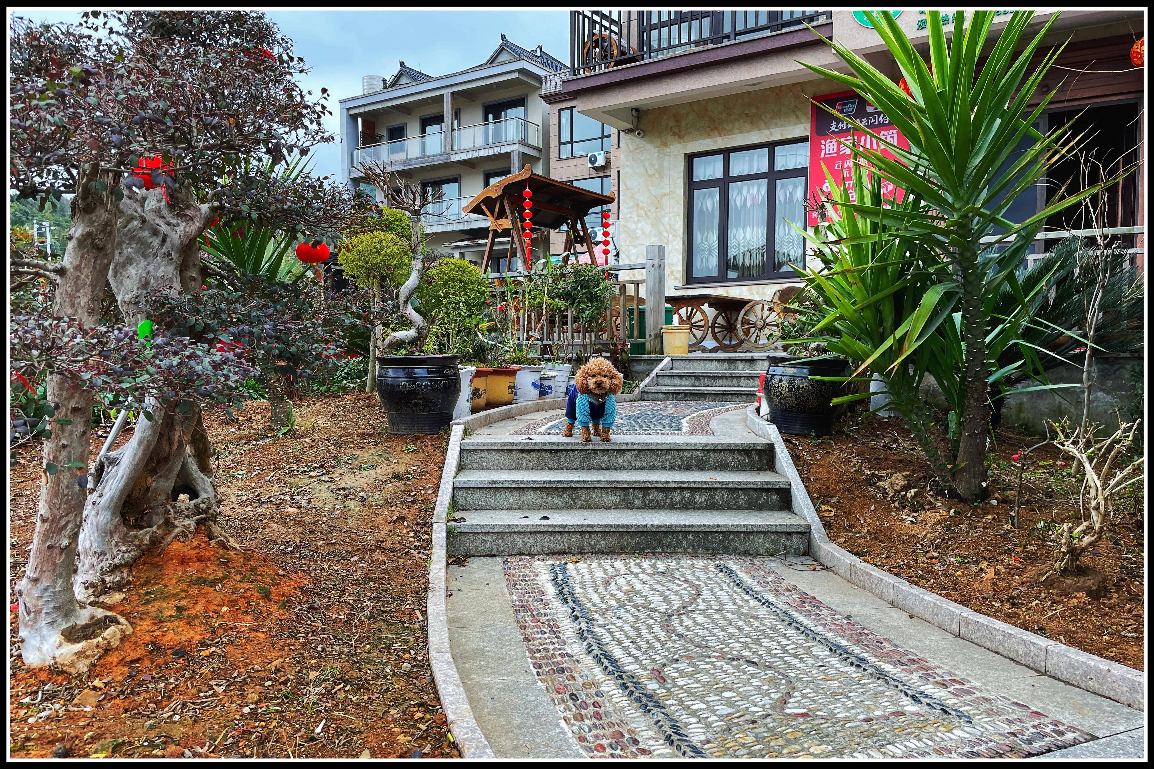 周末休闲好去处:宁波象山花墙村