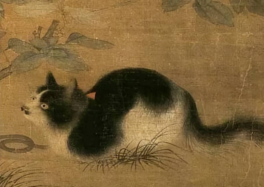 青海地区的"猫鬼神",到底是什么神,为何被不少家庭世代供奉_供养_主人