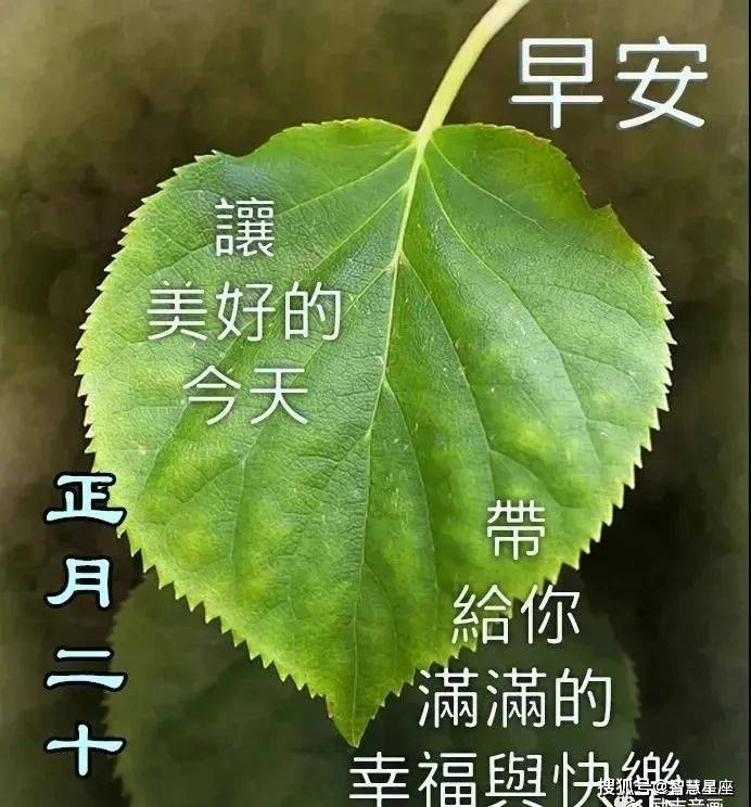 正月二十早安问候祝福图片带字温馨 免打字朋友圈早上好问候祝福图片