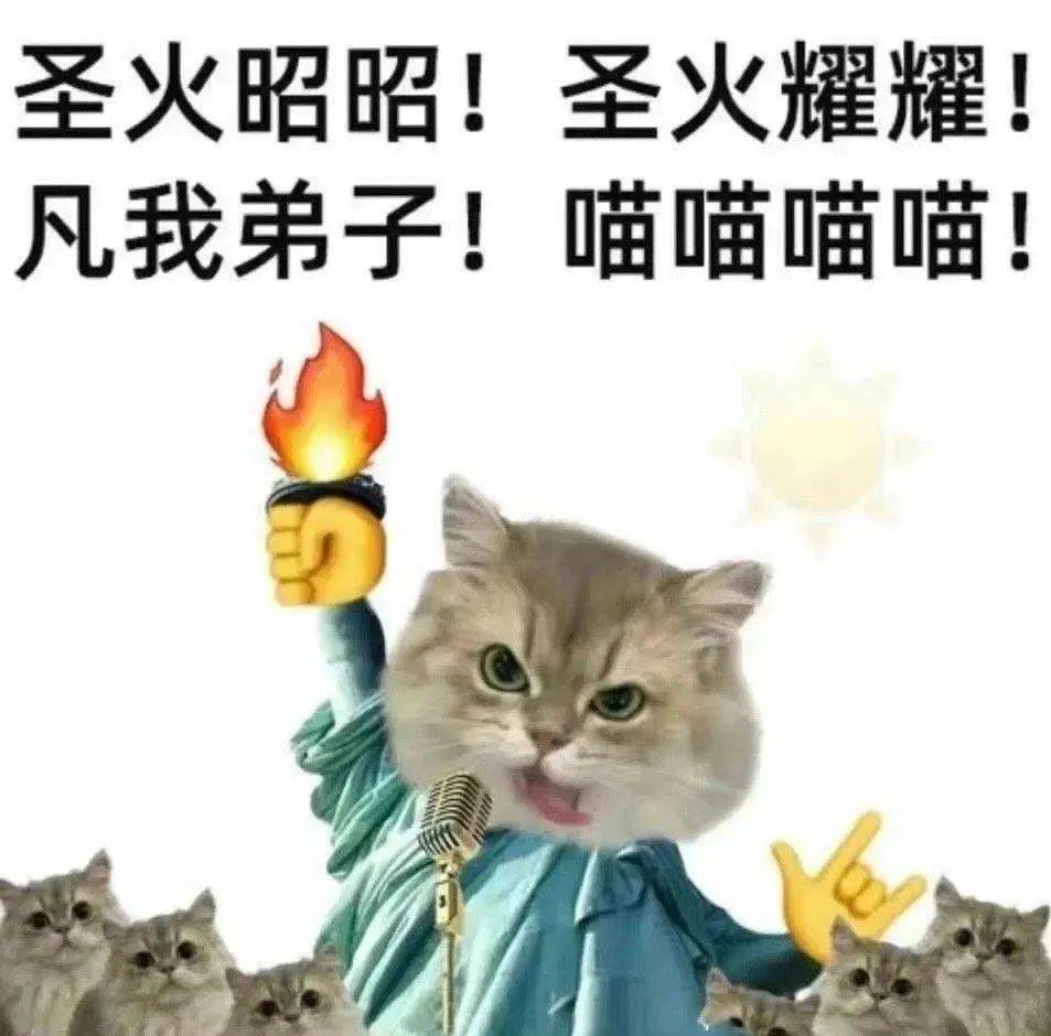 小猫咪在梦里干大事了！丨萌宠的搞笑图集