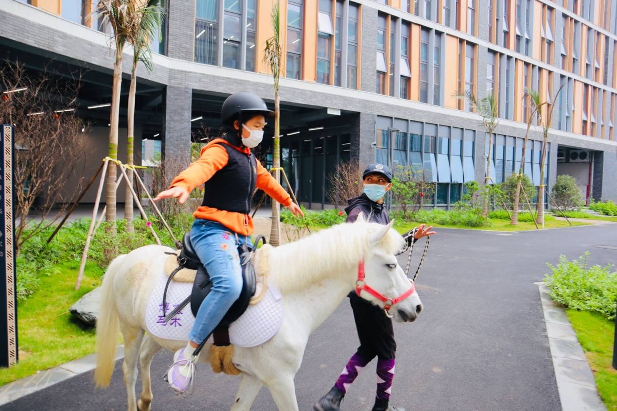 秋季招生火爆启动，港澳台侨联考中心落地荔湾爱莎学校-广州爱莎国际学校电话