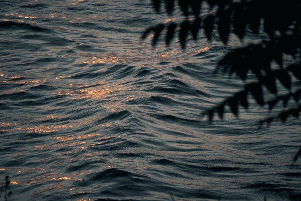 咖啡机占据小家电C位?只是阶段性的市场需求引爆-家电圈官网