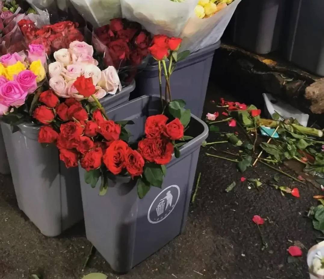 单身狗创业新思路!_爱情_贡献_成功