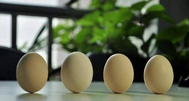 春分为什么可以竖鸡蛋 春分为什么要竖蛋?