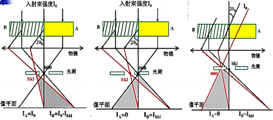 透射电镜图像分析图片