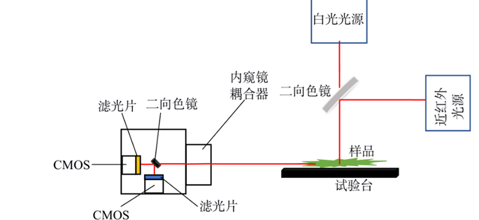 电子内窥镜结构图片