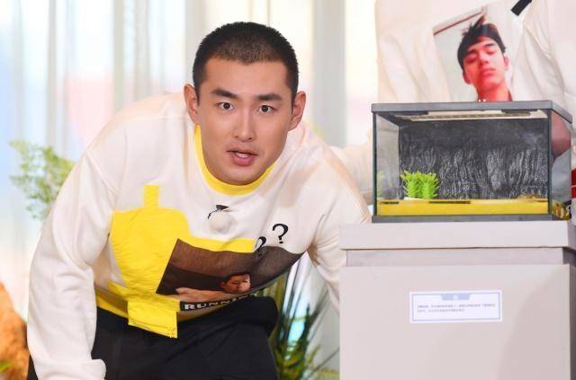 《奔跑吧》王彦霖连续缺席,难道真的回鞍山老家了吗?_因为_楚乔_坏人