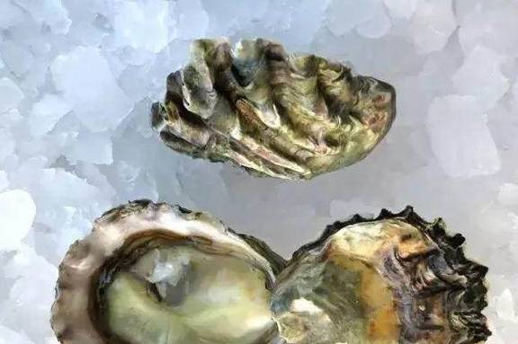 熊本生蚝、西雅图奶油生蚝……美国**生蚝大赏！(图1)