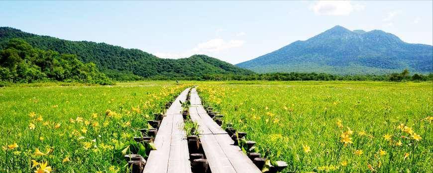 造访日本最大的高原湿地「尾濑之原」,自然宝库的两天一夜行程