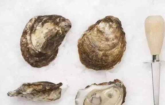 熊本生蚝、西雅图奶油生蚝……美国**生蚝大赏！(图5)