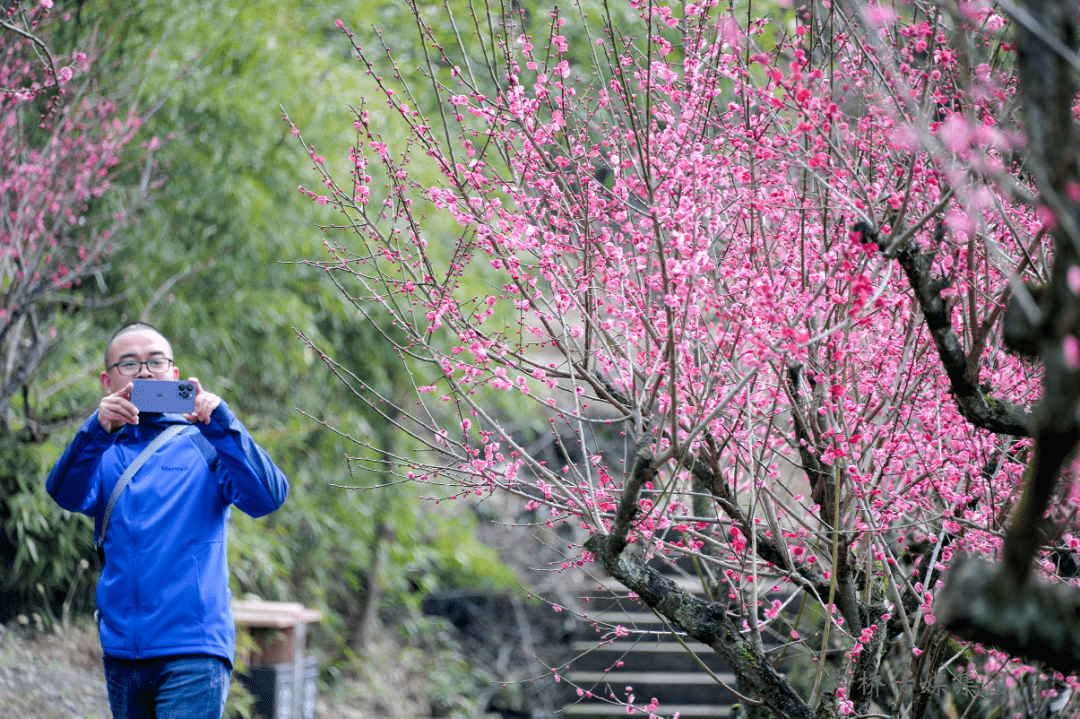 真没想到（莲花落）莲花落 第6张