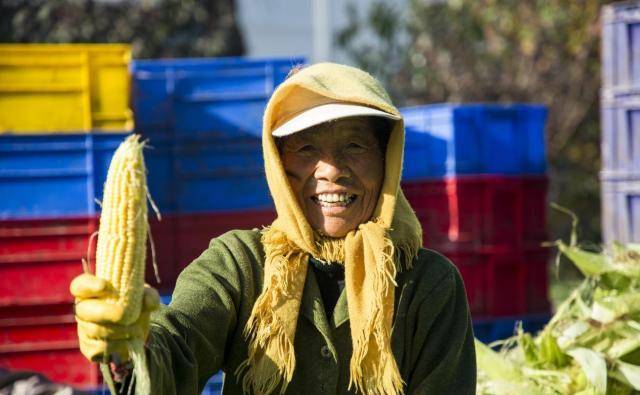 电商课还能那么上？玉米地的一堂课让业绩翻3倍