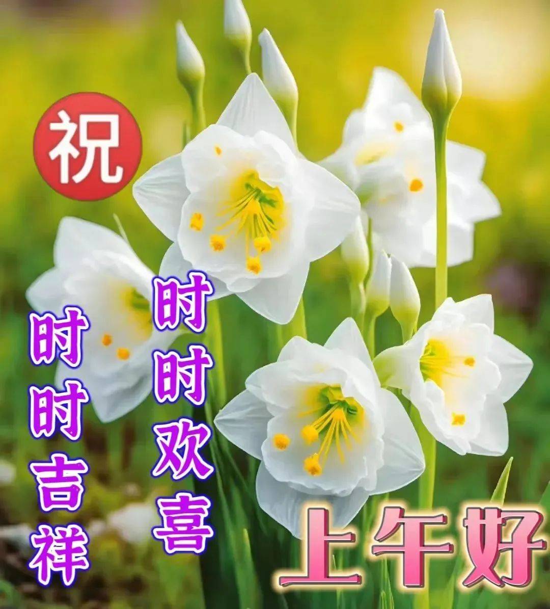 2月16日周四早安