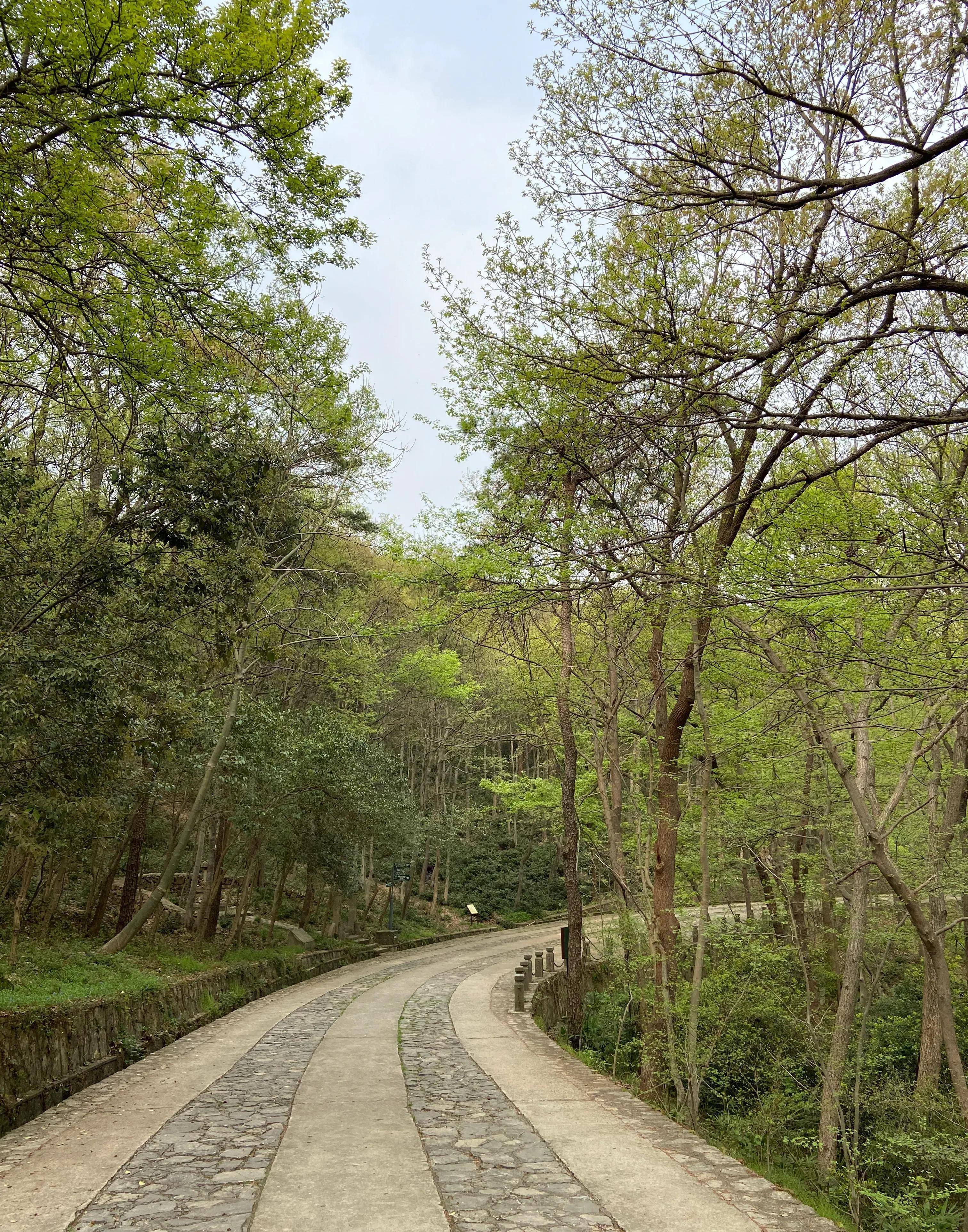 南京紫金山登山图片