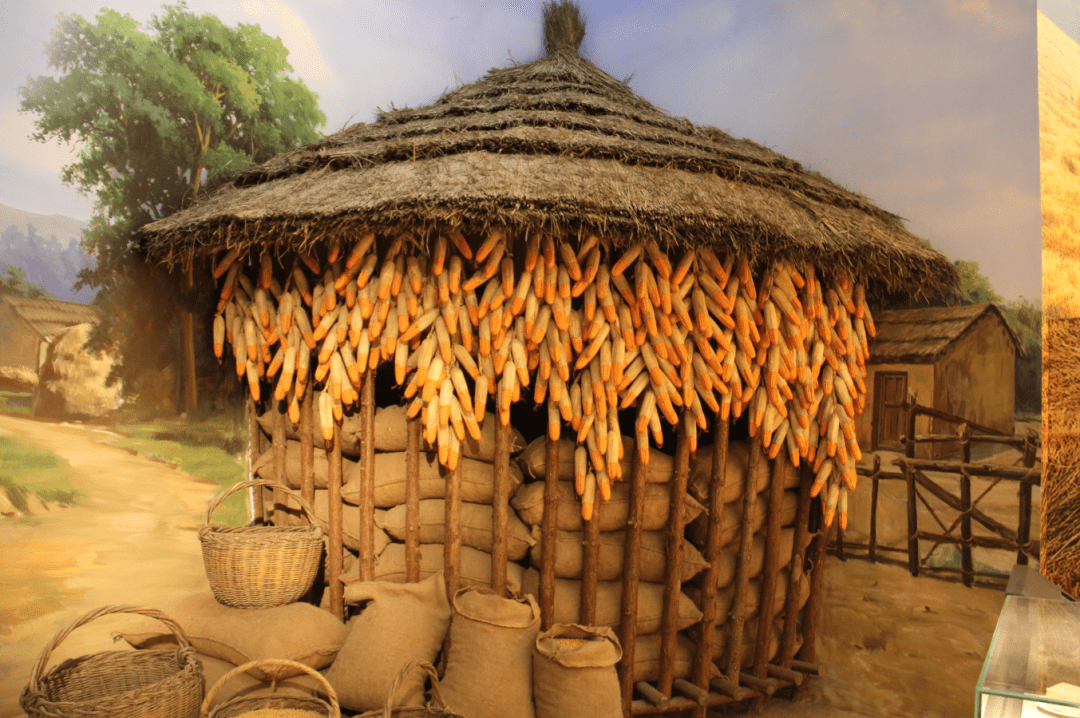 安徽人游安徽 | 一个时代的记忆:华夏粮仓博物馆_教育_阜阳_场景