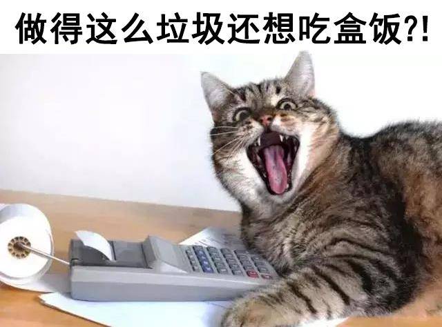 我的猫抢了我的工做！老板永久不晓得，在对面打发他的是人是猫？