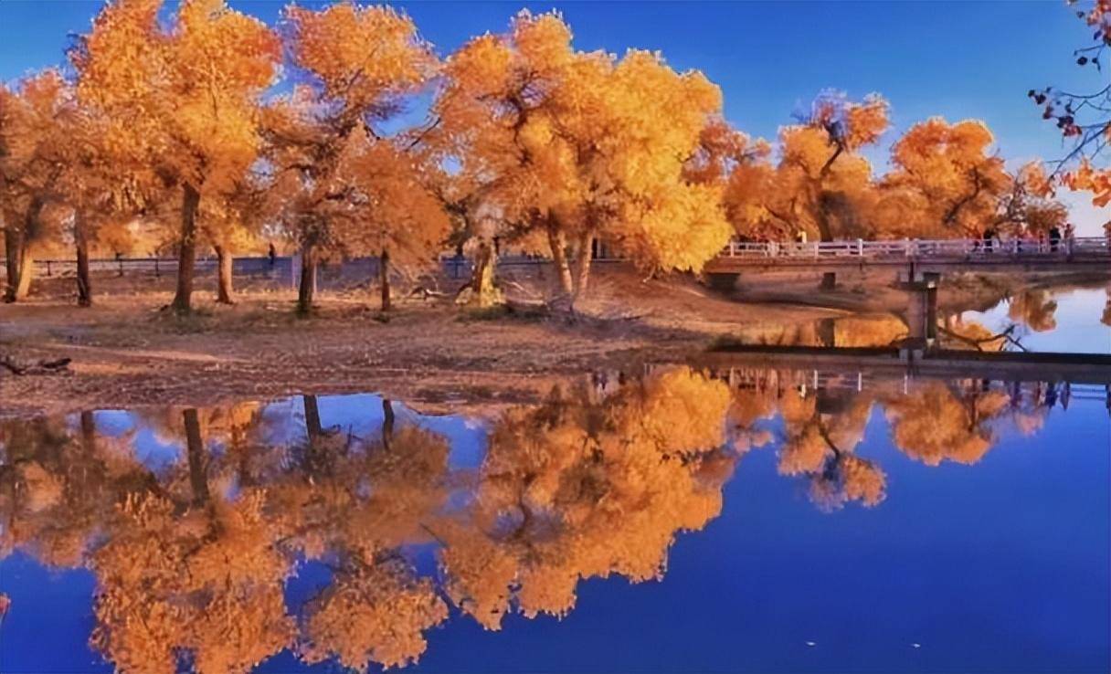 中国在戈壁滩上建了一座城市,成立仅3年,有很多人还不知道_胡杨_新疆