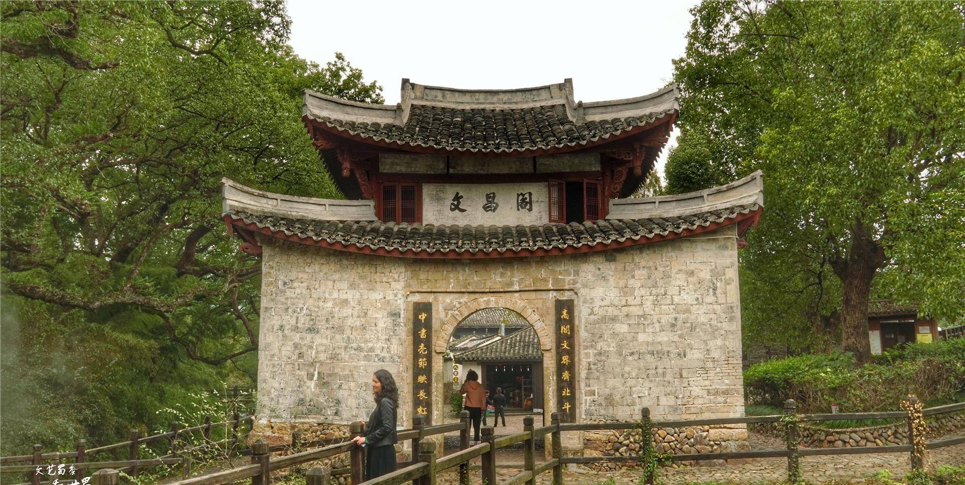 古樟树很稀有,丽水堰头村竟然有千年樟树几十棵,其中一棵是树神_树龄