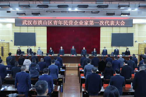 风华正茂展英姿 - 武汉市洪山区青年民营企业家联合会成立(图1)