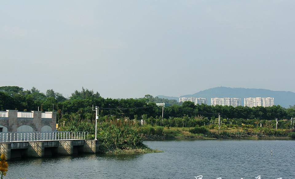 华南植物园和岑村机场之间有一个美丽的湖,景色优美却无一游客