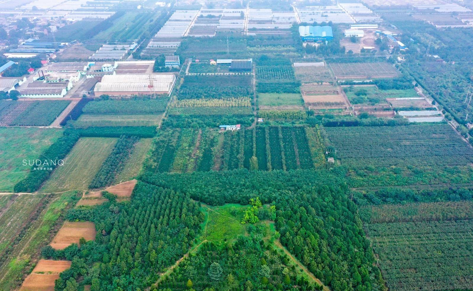 探秘千年王上村:陕西杨凌区有座隋朝大墓,千百年未曾被盗_文帝_文化