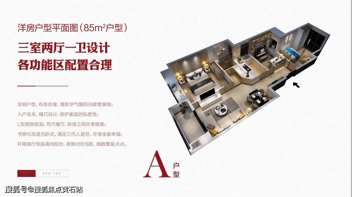 崇明岛·大爱城_手机搜狐网
