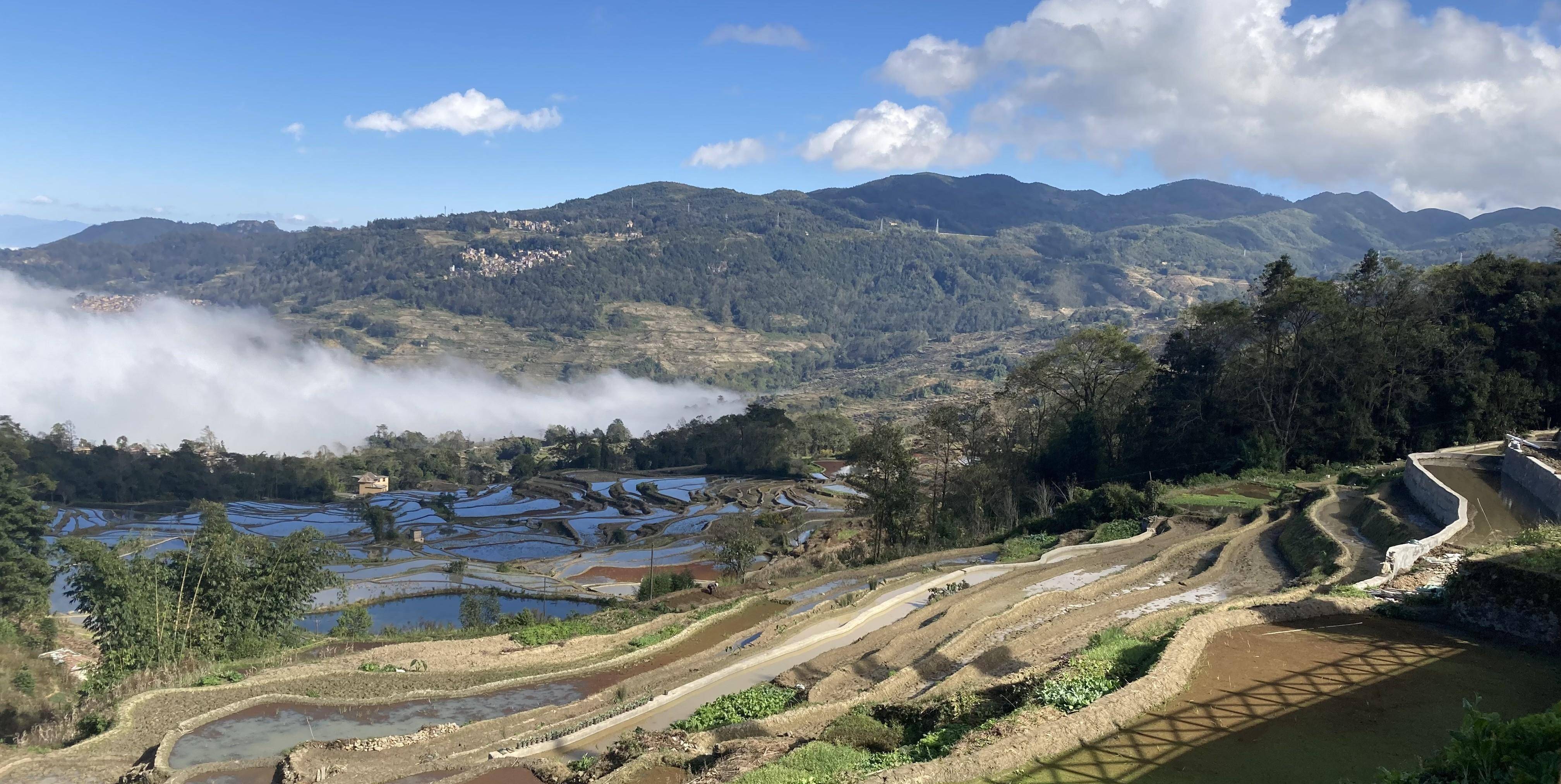 哈尼梯田景区图片