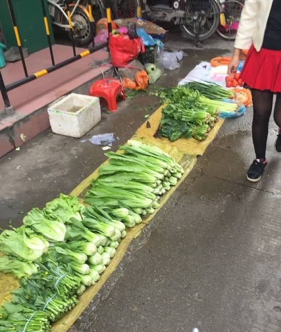 周末逛菜市场大开眼界，一起来讨论一下大家平时都喜欢买哪些菜呢(图1)