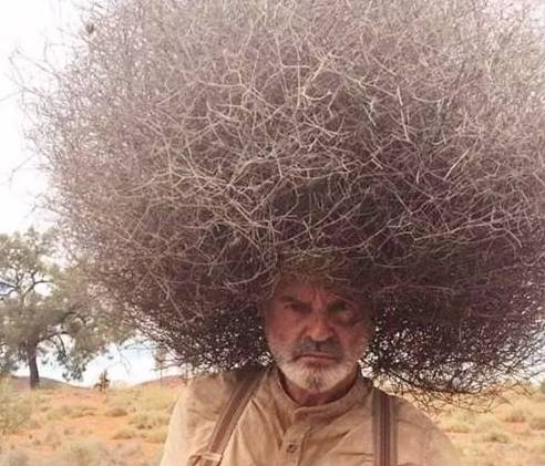 搞笑图片幽默段子笑话:我没见过这么牛逼的发型!_老婆_诱惑_爸爸