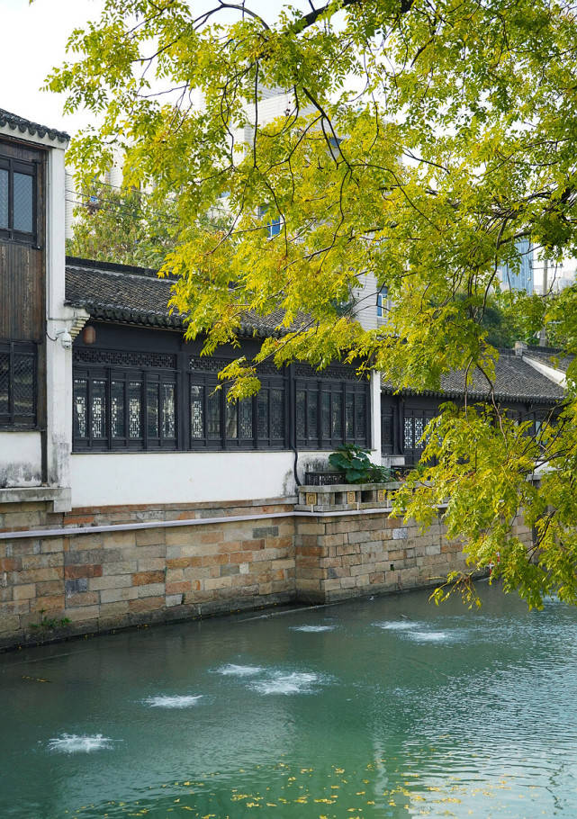 常州| 江南名士第一巷,青果巷_文化名城_建筑_历史