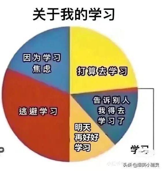 哈哈哈,记录摆烂实用表情包,你值得拥有_毕设_ctrl_论文