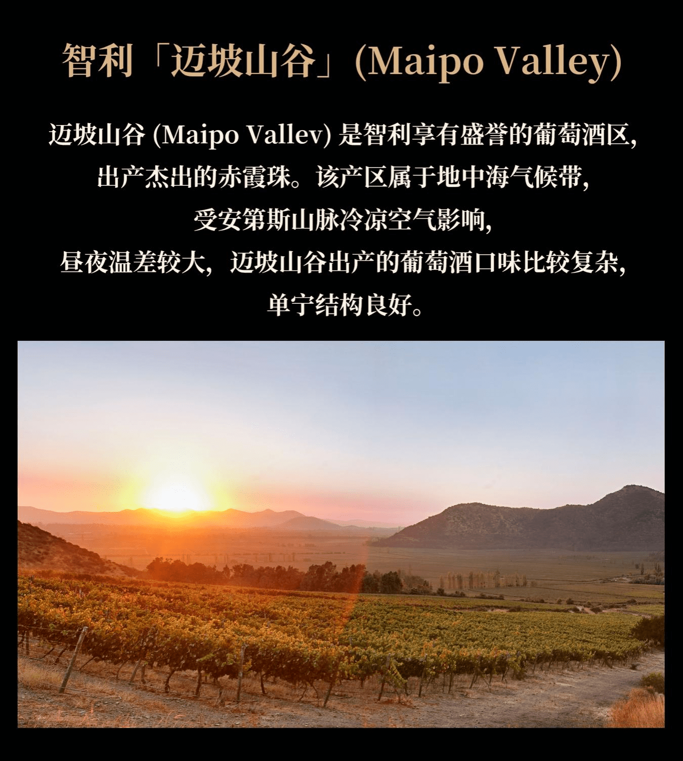 卡乐门酒庄结合四个最佳赤霞珠年份混酿制作_酿造_葡萄园_系列