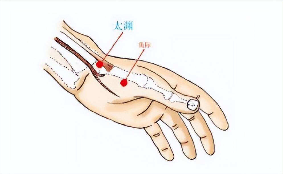 「穴位」手腕內側的三個健康的