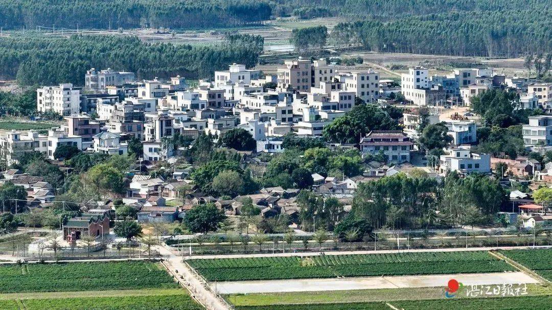 总投资2000万元,茂德公又一文旅项目落地雷州沈塘镇茂莲村_发展_文化