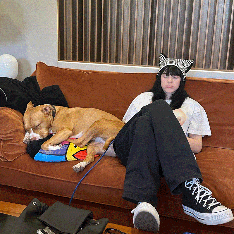 而这都不如 dj khaled,我们的「北美景甜」直接搬出了自己的飞机,来 "