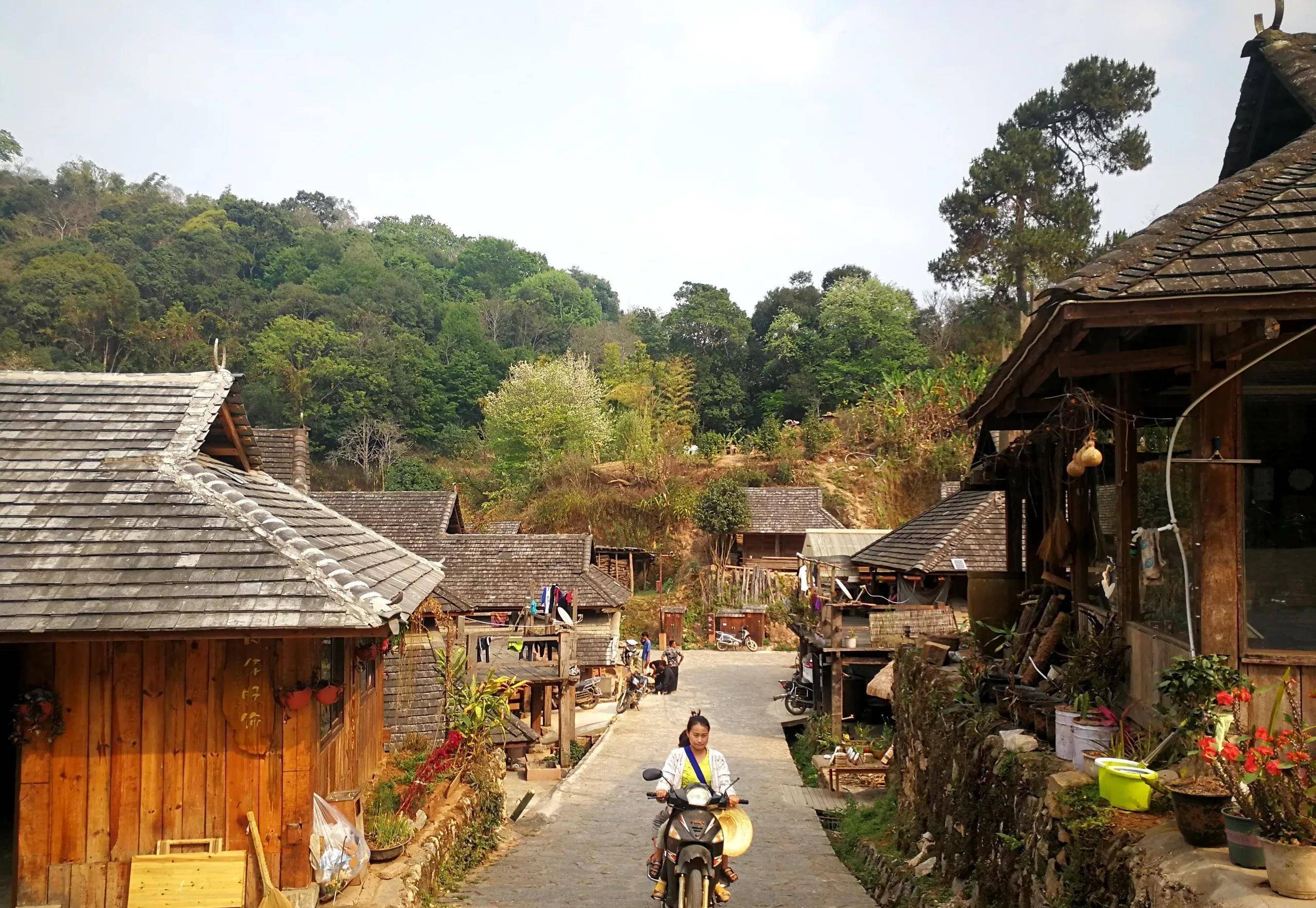 云南边境自驾景迈山(翁基古寨,糯干古寨,老达保村)环线景点_村寨_寨子