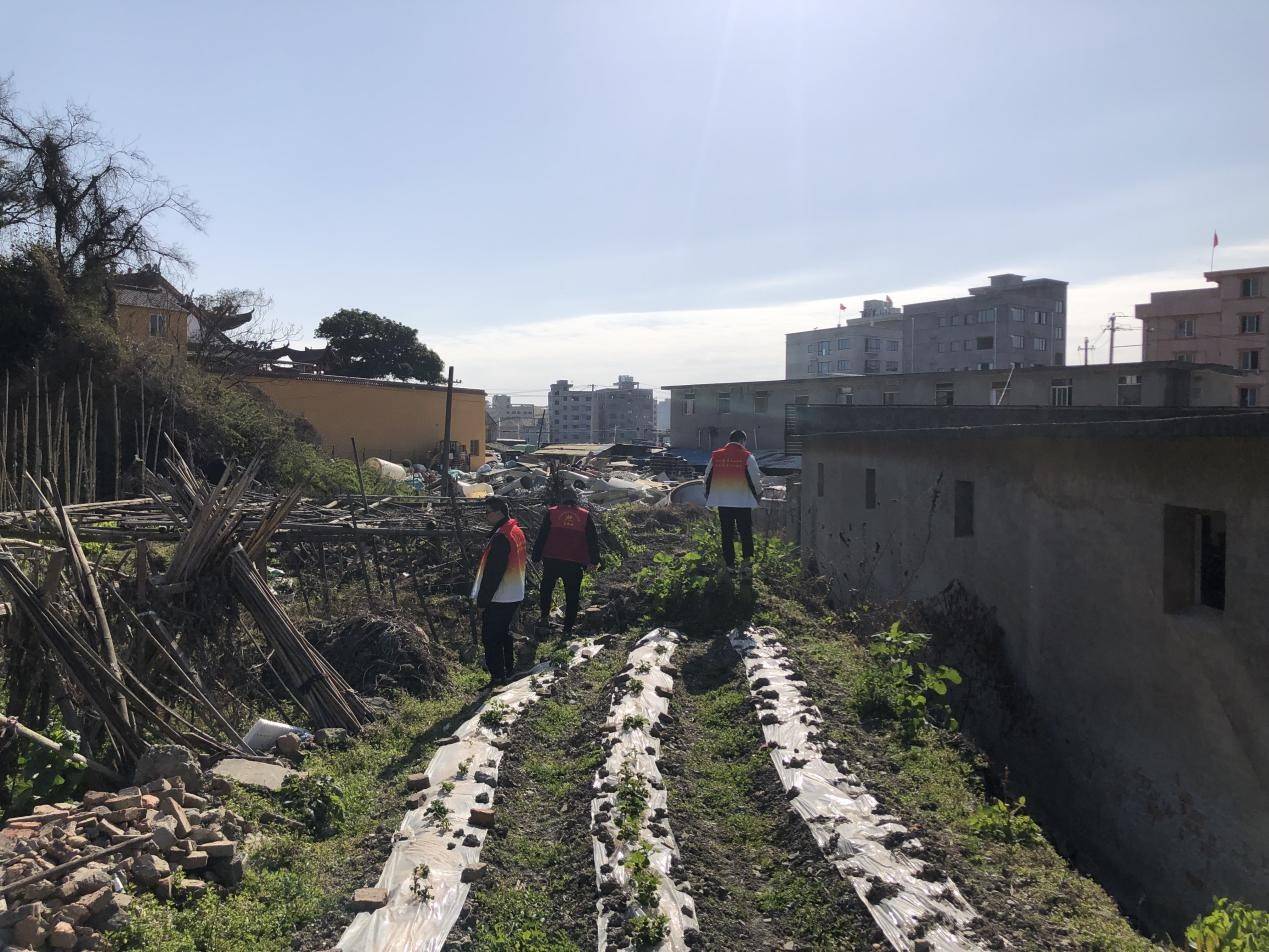 乐清市翁垟街道开展禁种铲毒宣传进山林_禁毒_种植_进行