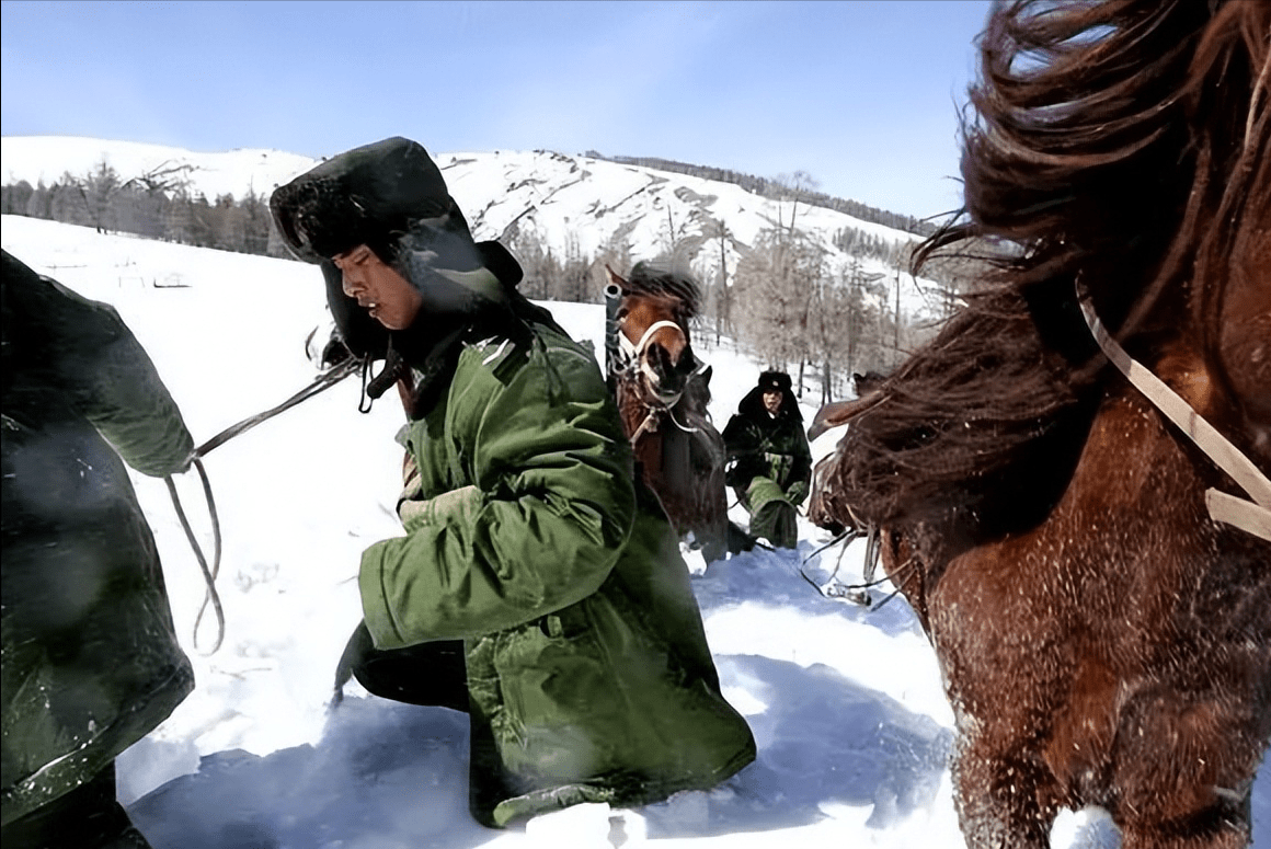 狼窝被暴雪压垮