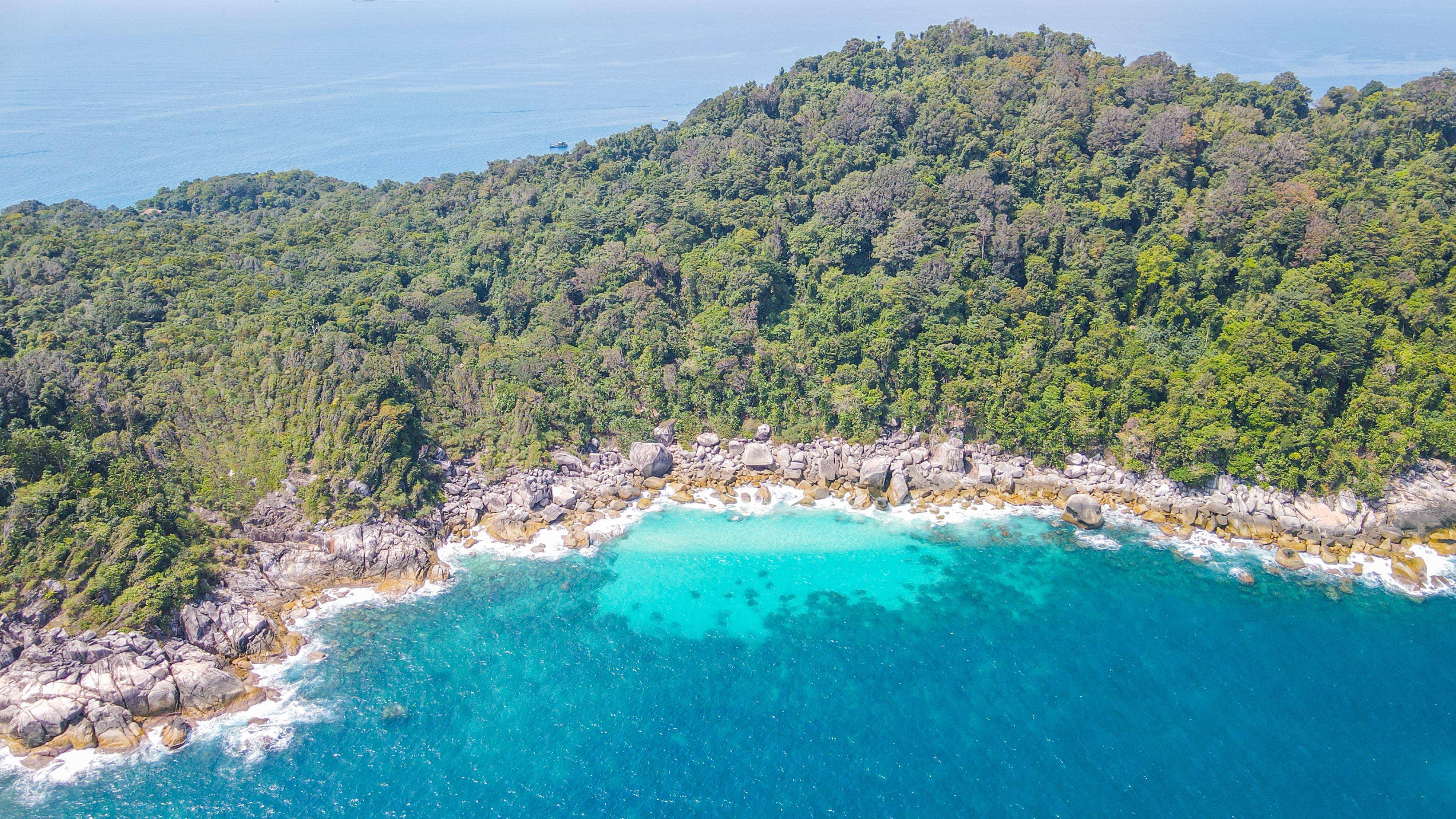 马来西亚旅行,海岛森林徒步踏青,感受春日的小美好