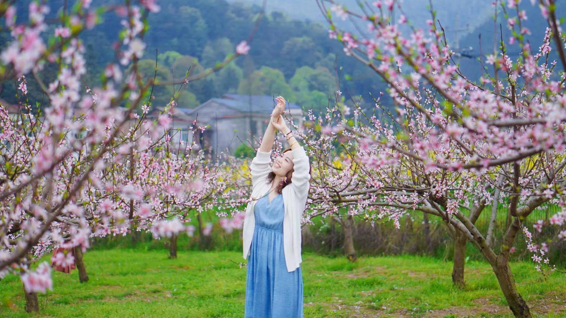 桃花和美女图片油菜花图片