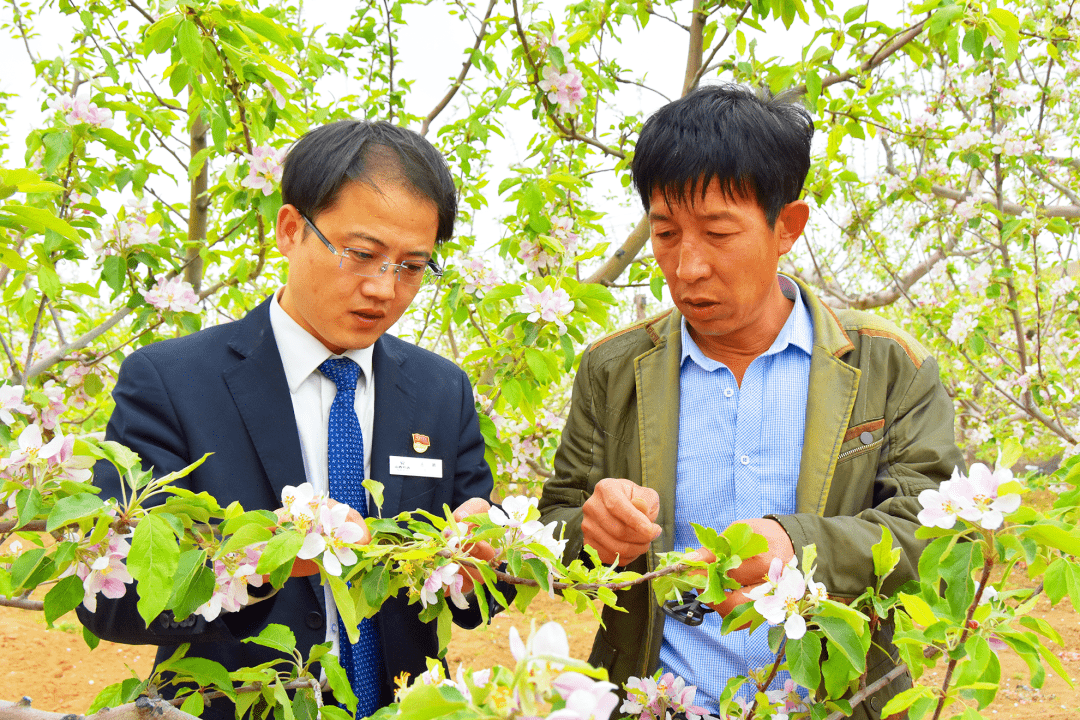 王鹏银行流水照片 来自搜狐网