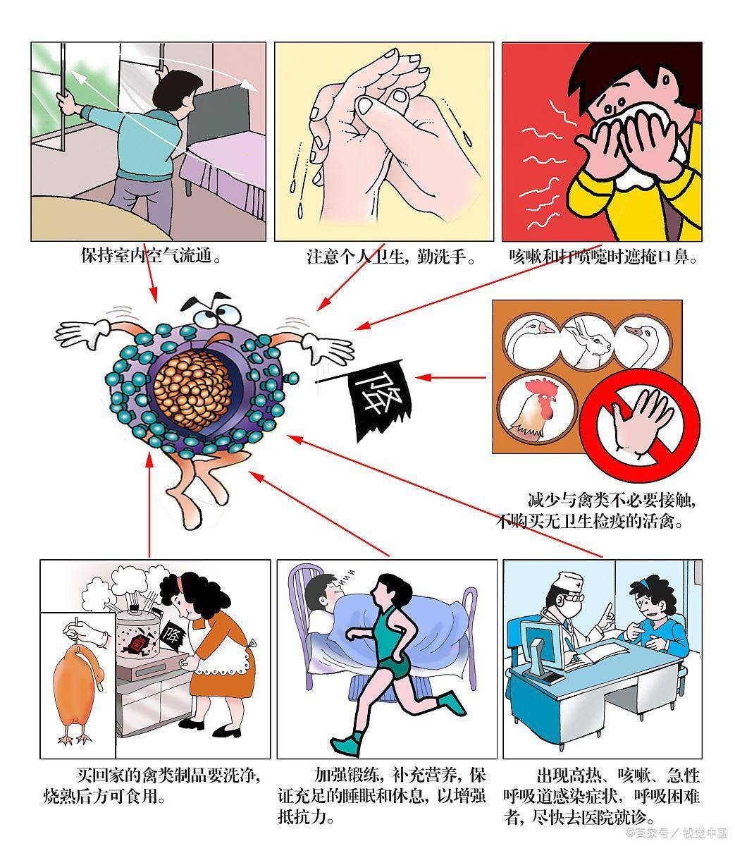 系统产生抗体,从而保护个人免受感染,还可以减少病毒在社区中的传播