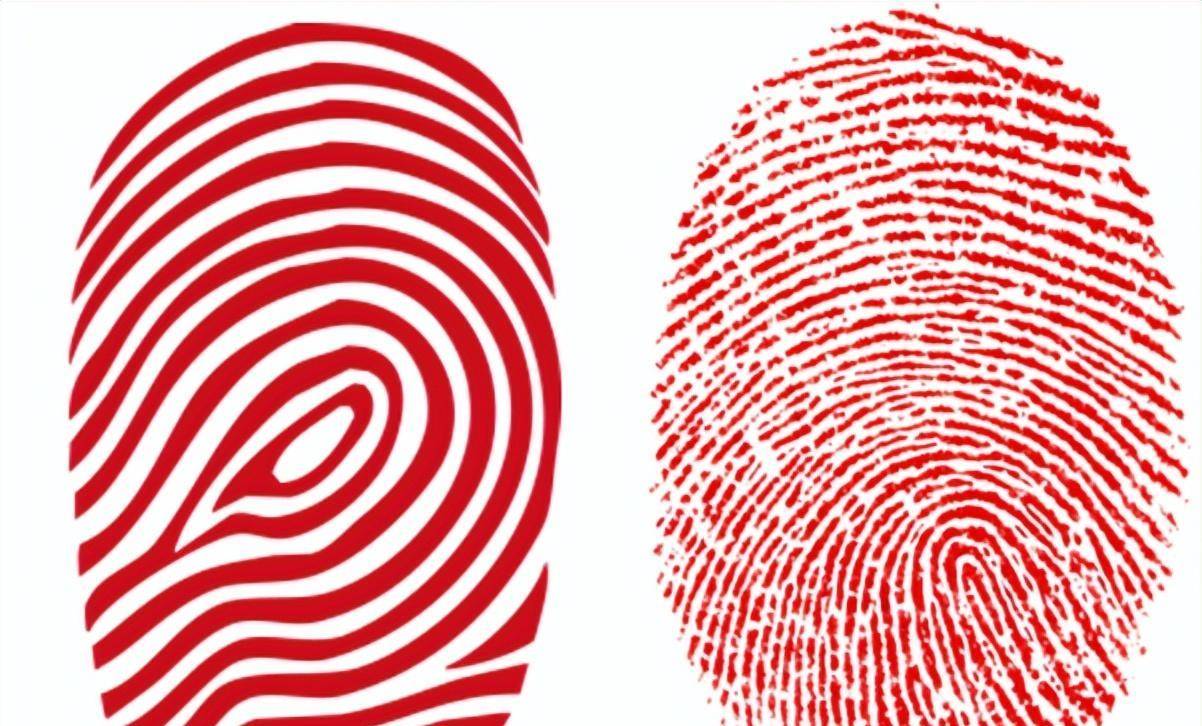 中科院发现斗与簸箕的奥秘_指纹_生活_人们