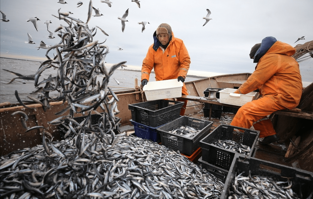 纽芬兰渔场图片图片