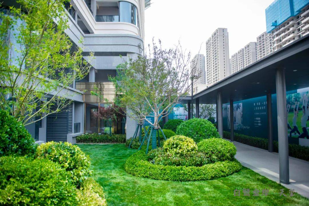 白鹭金岸·天玺|盛景如画,恰逢春日里的浪漫_园区_自然_春风