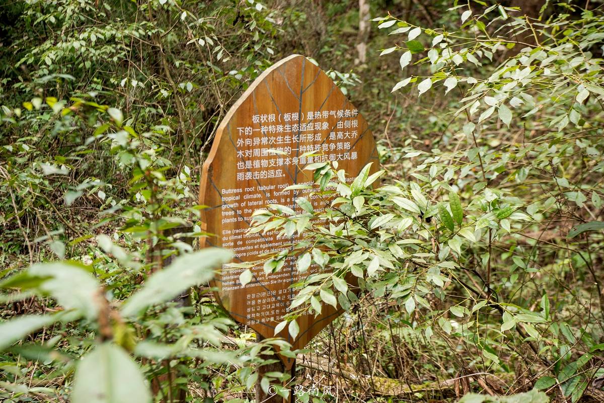 贵州黔东南仅有一处世界遗产，山色清奇如画卷，但至今少人知道