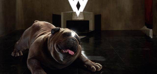 《异人族》新剧照,漫威最差作品诞生,加入《复仇者联盟3》成疑_黑蝠王