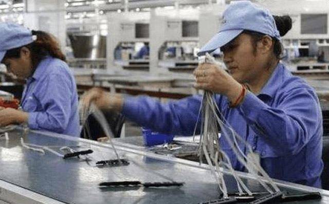 返乡创业成热潮，农村2大项目行情不错，日赚好几百 早布局早赚钱